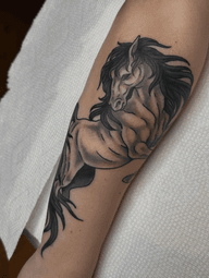 Rearing Horse