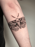 Illustrative Dotwork Custom Symmetrical Moth
