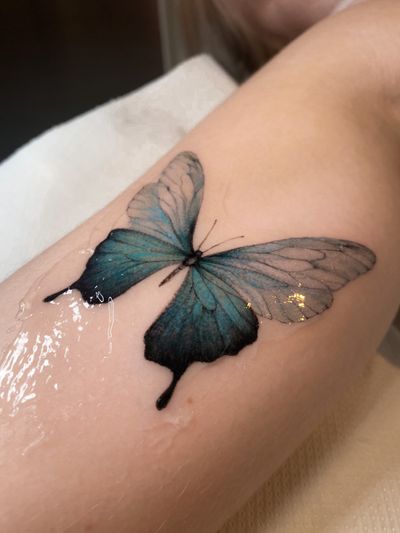 Get a vibrant illustrative butterfly tattoo done by the talented artist Maria, bringing your skin to life with beautiful colors.