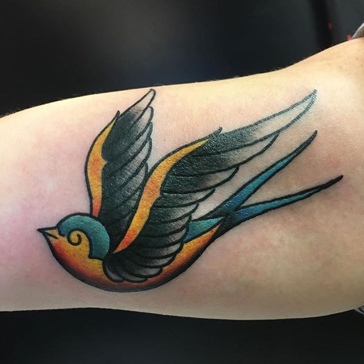Tattoo uploaded by Body and Soul Tattoo II • Swallow by Adam Teitelbaum