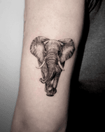 Elephant Tattoo