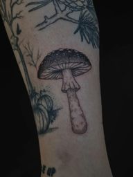 Mushroom Tattoo