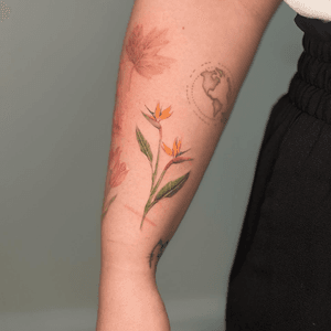 Larissa's detailed tattoo features a realistic bird of paradise surrounded by a beautiful flower in micro-realism style.