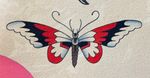 Traditional Butterfly Flash