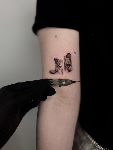 Chaos Art Collective