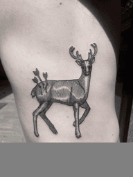 deer