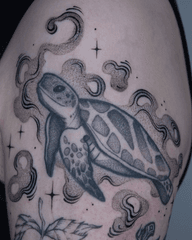 Turtle with Clouds
