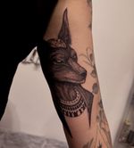Następny egipski motyw do kolekcji Dominiki- Anubis ✨ Zapraszam do zapisów na grudzień/ styczeń 🌙 @muka_studio 📧 halozagorskabooking@gmail.com Insta: DM . . . #anubis #anubistattoo #egyptianmythology #zagorska #cracow #krakow #tattoocracow #tatuazekrakow