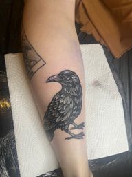 Woodcut Crow