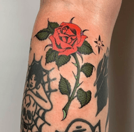Fine line colored rose