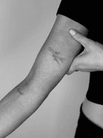 Tiniest plane ✈️ 