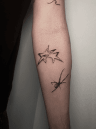 Stars and Spider