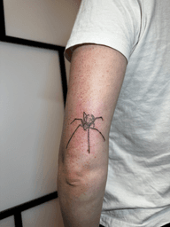 A sketchy spider from one of my flash drawings!