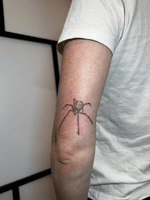 A sketchy spider from one of my flash drawings! 