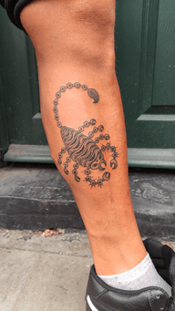 Tibetan Scorpion