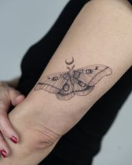 Moth with Crescent Moon