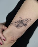 Moth with Crescent Moon