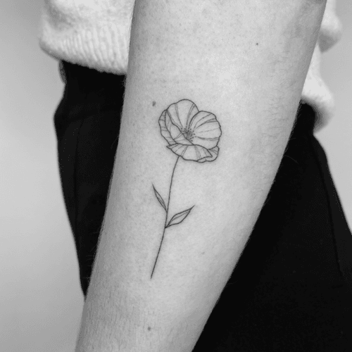 Poppy Flower