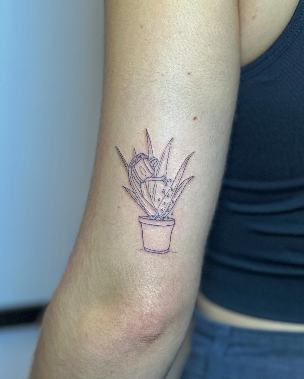 Aloe Vera Plant  Tattoodo
