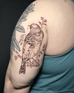 Bird on a Branch with Flowers