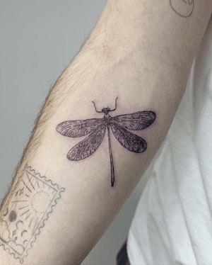 Sketchy dragonfly with the use of an 1rl, from my flash! 