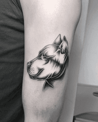 Pit Bull Tattoo