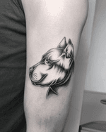 Pit Bull Tattoo