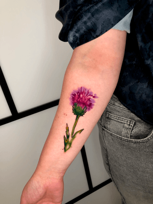 Thistle, a #1 in Scotland #sandrosecchin #flowertattoo #floraltattoo #watercolourtattoo