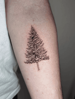 Pine Tree