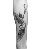 Crane in Flight