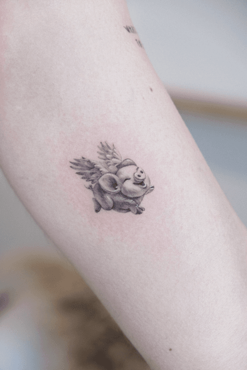 Flying Pig