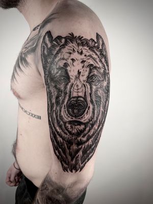 Unique blackwork and fine line tattoo of a bear in an engraving style by artist Robin Rossi.