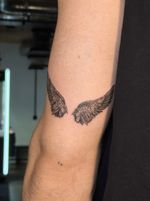 Pair of Wings