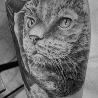 Got a good start on this kitty cat portrait today. One more pass oughta finish it up. The back of the calf sucks!! #catportrait #kittykat #petportrait