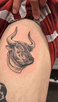 Bull