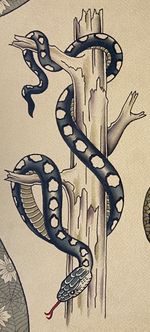 Snake on Branch
