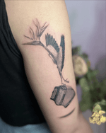 A refined surrealist realism tattoo in black and grey, depicting a heron transforming into a bird of paradise flower while carrying an accordion. Rendered in detailed micro realism tattoo style, this dreamlike composition merges music and metamorphosis.