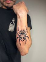 Patterned Jumping Spider