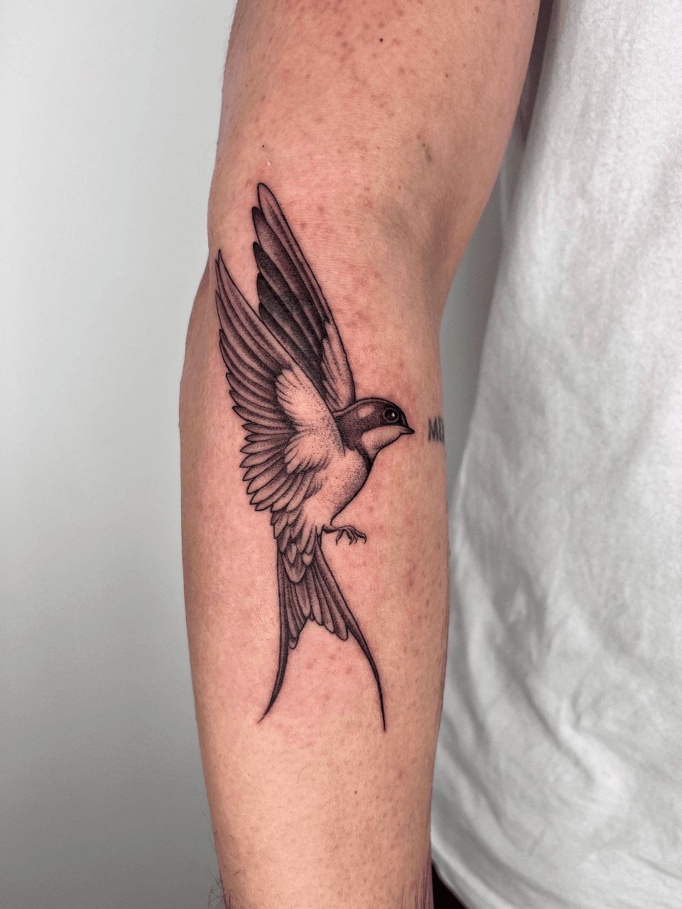 Night School Tattoo