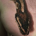#3d #realistic #snake #chestpiece