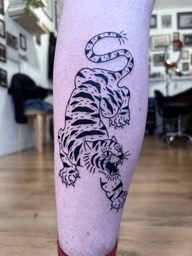 Tiger