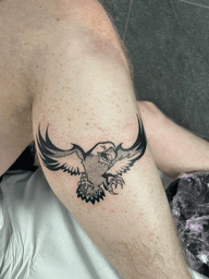 Stylized Flying Eagle