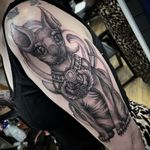 Sphynx cat from today - - - - - - #sohynx#sphynxcat#sphynxcattattoo#sphynxlove#sphynxkitten#egyptian#egyptiantattoo#egyptiancat#egypt#egyptiantattoos#gothiccat#gothiccats#hothictattoo#fothictattoos#dotwork#dotworktattoo#neo#heotrad#neotraditional#neotraditionaltattoo#neotradcat#neotraditionacattattoo#neotraditionaltcattattoos