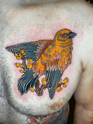 #bird #canary #colour #birdtattoo