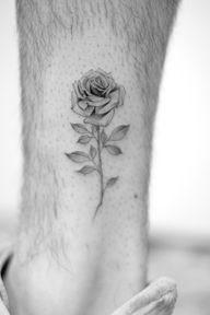 Realistic Single Rose