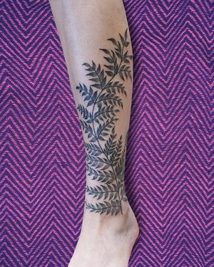 Experience the beauty of nature with this intricate dotwork fern tattoo delicately hand-poked by the talented artist Rachel Howell.