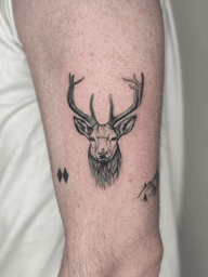 Stag head