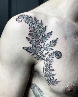 Get a beautifully detailed tattoo of a fern leaf and plant motif done in an illustrative style by the talented artist Amandine Canata.