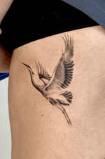 Crane in Flight