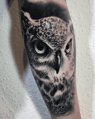 Owl Face